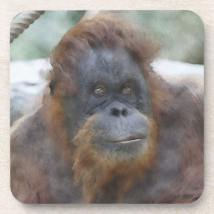 Dessous-de-verre Orang aquarelle