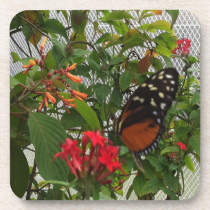 DESSOUS-DE-VERRE ORANGE BUTTERFLY