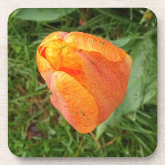 Dessous-de-verre Orange Tulip Argent Bracelete