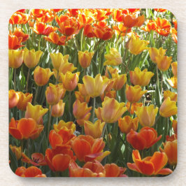 Dessous-de-verre Orange-&-Yelow-Tulips.jpg