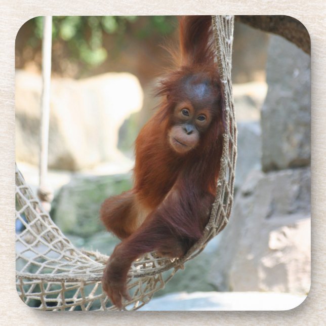 Dessous-de-verre OrangUtan 001 (Devant)