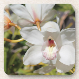 Dessous-de-verre Orchidées