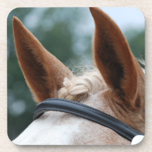 Dessous-de-verre oreilles de cheval