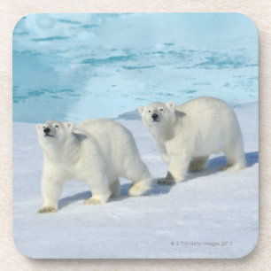 Dessous-de-verre Ours blanc, deux tasses sur la banquise, Ursus