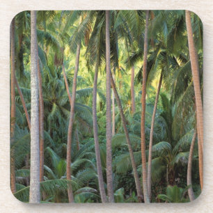 Dessous-de-verre Pacifique Sud, Polynésie française, Bora Bora.