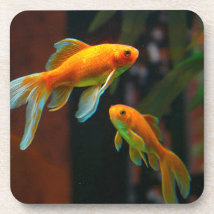 Dessous-de-verre Paires du poisson rouge chanceux