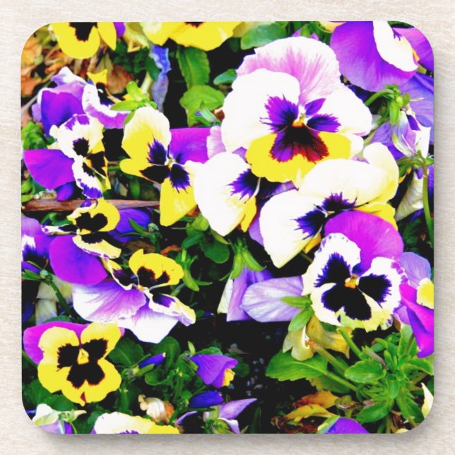 Dessous-de-verre pansy flowers (Devant)