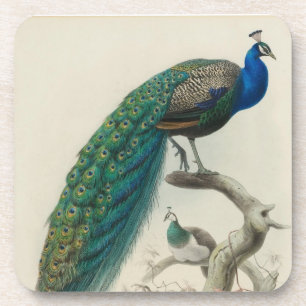 Dessous-de-verre Paon vintage