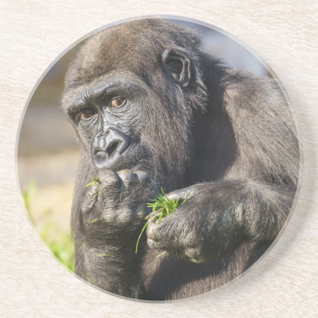 Dessous de verre papier Carré Gorilla Youngster (Devant)