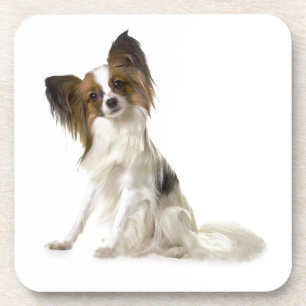 Dessous-de-verre Papillon