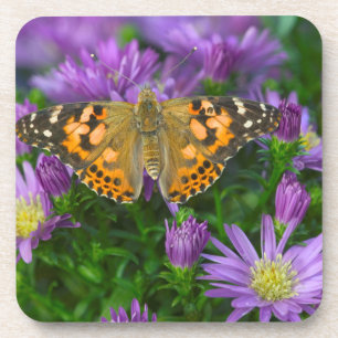 Dessous-de-verre Papillon à ailes angulaires sur fleur conique