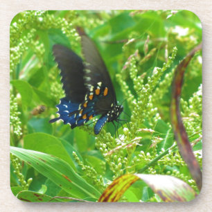 Dessous-de-verre Papillon bleu noir et orange