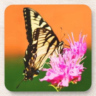 Dessous-de-verre Papillon d'épaisse du tigre oriental