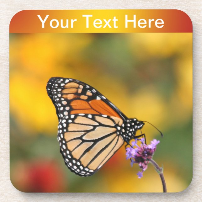 Dessous-de-verre Papillon monarque à la recherche de pollen (Devant)