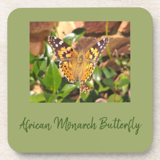 Dessous-de-verre Papillon monarque africain