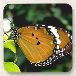 Dessous-de-verre Papillon orange, noir et blanc sur feuille