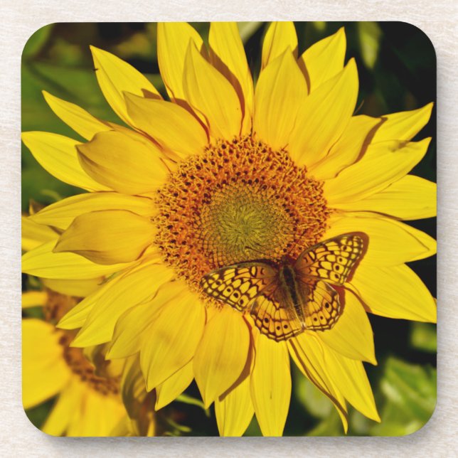 Dessous-de-verre Papillon sur tournesol (Devant)