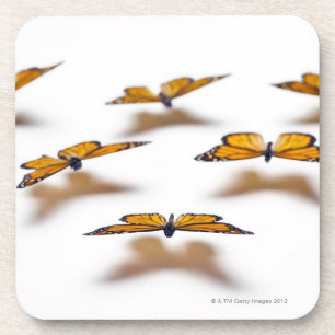 Dessous-de-verre Papillons de monarque