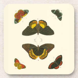 Dessous-de-verre Papillons lumineux par Pieter Cramer