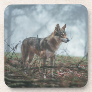 Dessous-de-verre Pâques à boisson Wolfdog