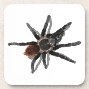 Dessous-de-verre Parasites d'araignée d'animal familier de coark de