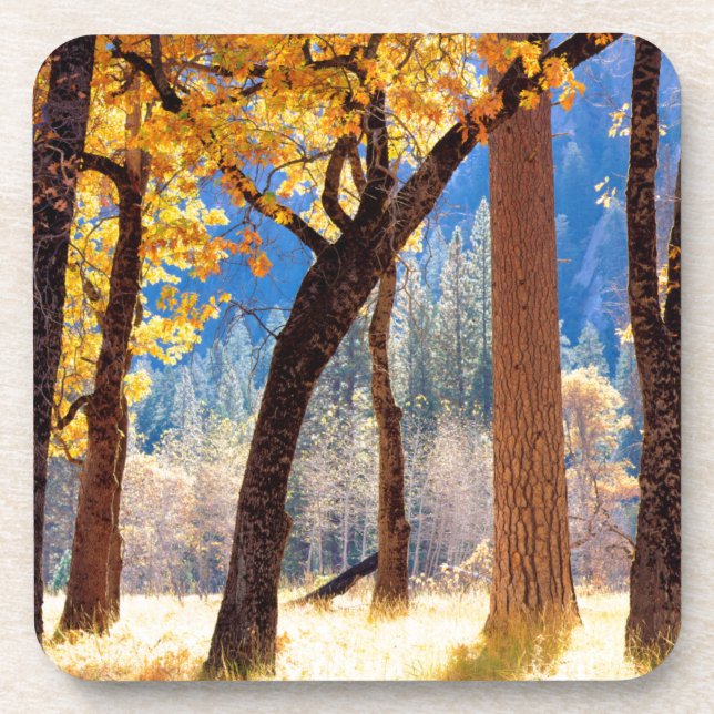 Dessous-de-verre Parc national de Yosemite (Devant)