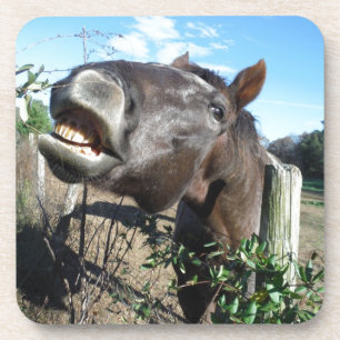 Dessous-de-verre Parler de cheval Brown