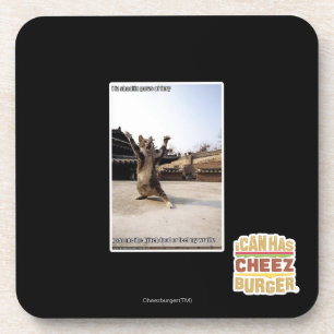 Dessous-de-verre Pattes de shaolin de l'iz I de fureur