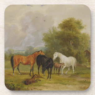 Dessous-de-verre Pâturage de chevaux : Juments et poulains dans un