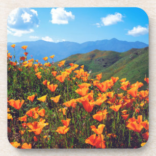 Dessous-de-verre Pavots de Californie recouvrant un flanc de collin