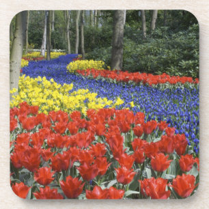 Dessous-de-verre Pays-Bas, Hollande, Lisse, Jardins de Keukenhof