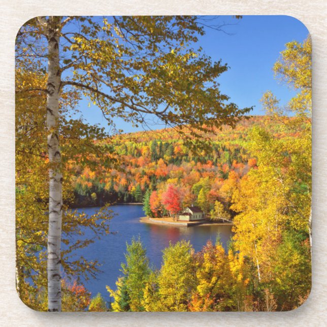 Dessous-de-verre Paysage arboré d'automne, Maine (Devant)