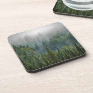 Dessous-de-verre Paysage forestier de pins bruyants