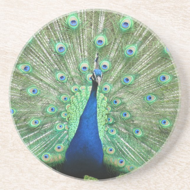 Dessous de verre - Peacock (Devant)