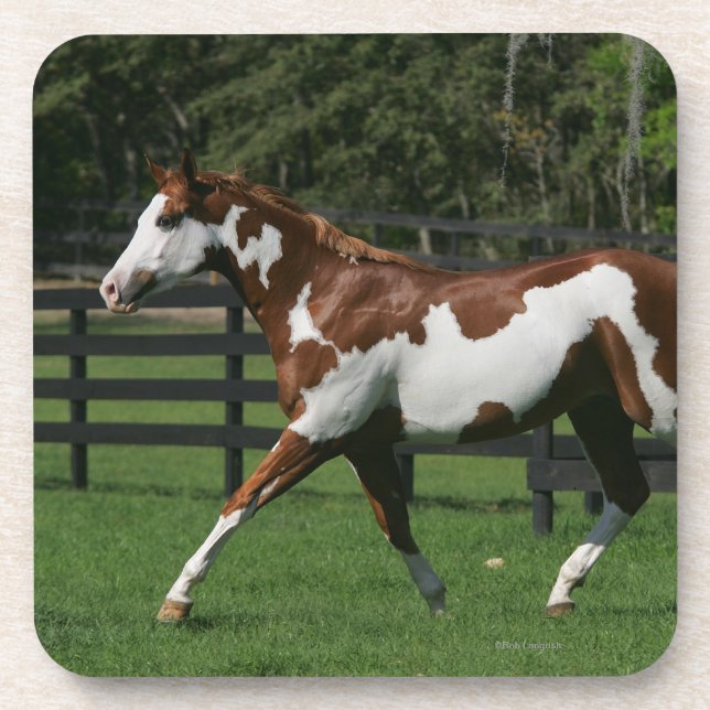 Dessous-de-verre Peignez le cheval courant 1 (Devant)