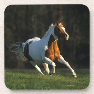 Dessous-de-verre Peignez le cheval fonctionnant rapidement