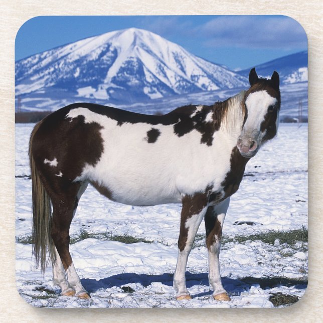 Dessous-de-verre Peignez le cheval se tenant dans la neige (Devant)