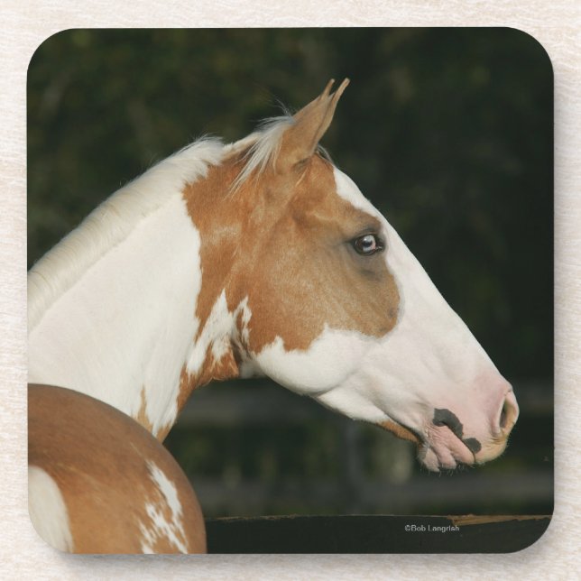 Dessous-de-verre Peignez le Headshot 2 de cheval (Devant)