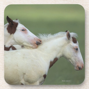 Dessous-de-verre Peignez le jeu de poulains