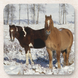 Dessous-de-verre Peignez les chevaux dans la neige