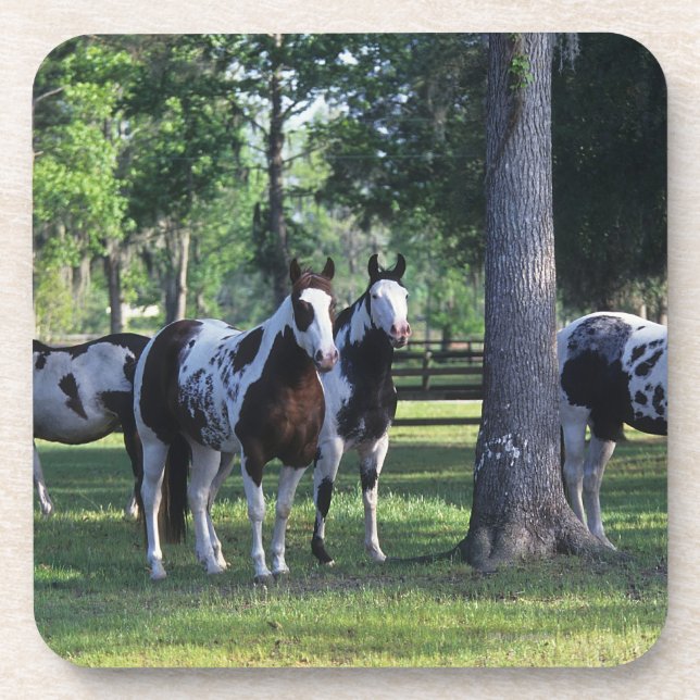 Dessous-de-verre Peignez les chevaux dans les arbres (Devant)