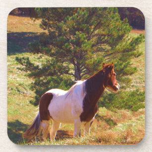 Dessous-de-verre Peint Poney par le pin