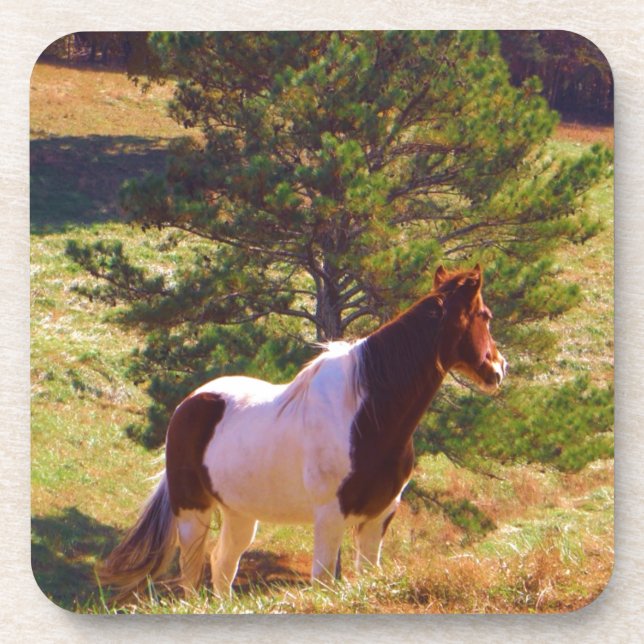 Dessous-de-verre Peint Poney par le pin (Devant)