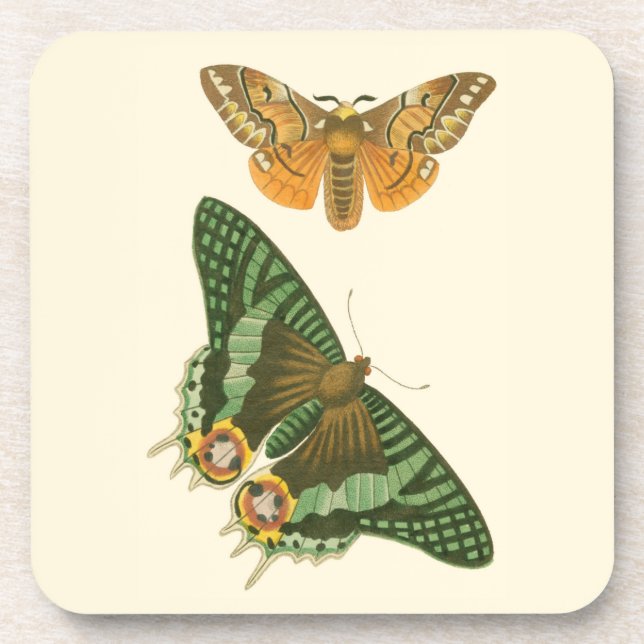 Dessous-de-verre Peinture à papillon légèrement frontière (Devant)