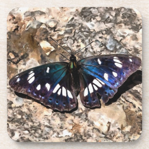 Dessous-de-verre Peinture de papillon bleu de l'amiral blanc du sud