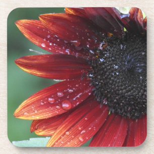Dessous-de-verre Pétales De Tournesol Rouges Et Chutes De Pluie