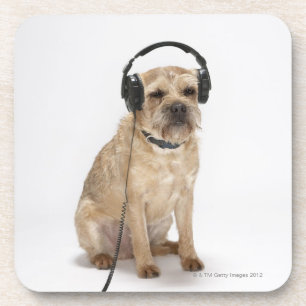 Dessous-de-verre Petit chien portant un casque