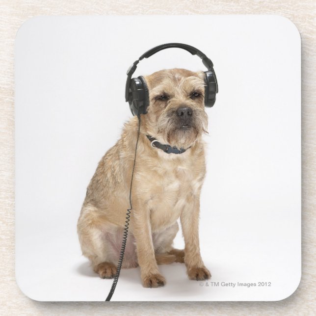 Dessous-de-verre Petit chien portant un casque (Devant)