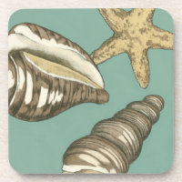 Petit trio Shell Turquoise