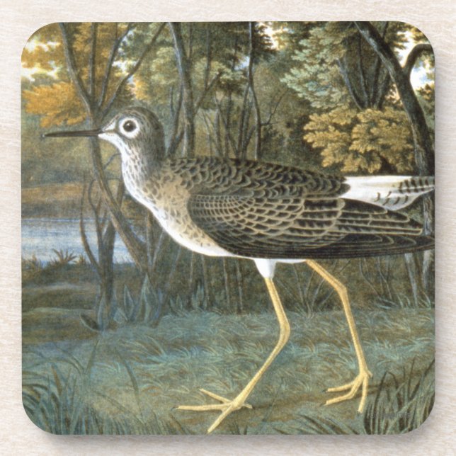 Dessous-de-verre Peu de Yellowlegs (Devant)